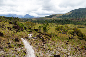 Wall Mural - hiking trail with view of tepuy in Canaima National Park, Venezuela