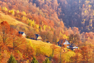 Wall Mural - Mountain village, autumn rural scene. Yellow and orange trees. Sunny fall evening. Beautiful sunset hills landscape. Slopes, meadows, fields, village, house, dirt road. Carpathian range.