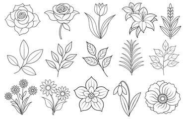  Collection of flower and leaf elements for design for invitation, greeting card, quote, blog, poster.