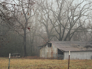 Wall Mural - old barn in the fog