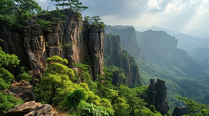 Canvas Print - green forest in the mountains