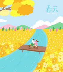 Wall Mural - Spring Bicycle Ride through a Blooming Yellow Field