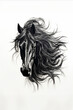 Head and shoulders of a pure black Friesen horse with flowing mane staring at the camera on an all white background.