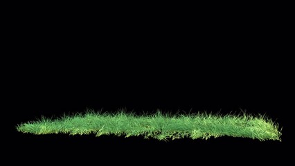 Wall Mural - grass wind noise loop on alpha channel. element footage place on footage or background and easier to