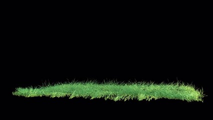 Wall Mural - grass wind noise loop on alpha channel. element footage place on footage or background and easier to