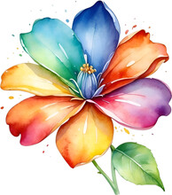 Watercolor Painting Of A Cute Rainbow Flower.