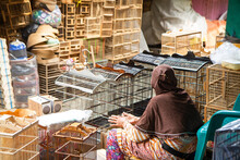 Old Woman Bird Cage Seller At Animal Market