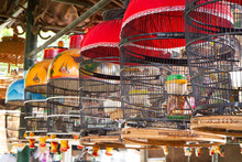 Bird Cage At Animal Market