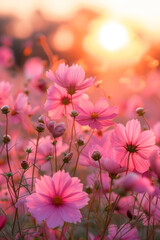 pink cosmos flower in the mist and fog, vertical background