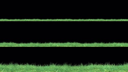 Wall Mural - grass wind noise loop on alpha channel. element footage place on footage or background and easier to