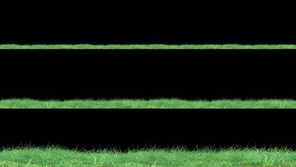 Wall Mural - grass wind noise loop on alpha channel. element footage place on footage or background and easier to