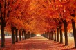 Beautiful autumnal alley in the park, closeup of photo