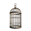 © dataimasu - simple bold Birdcage, isolated PNG object