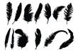 Set of Feather silhouette icon logo template vector illustration design