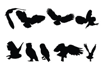 Set of owl silhouette icon logo template vector illustration design