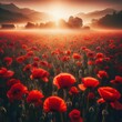 A field of vibrant red poppies in bloom
