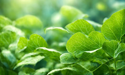 Poster - Summer sunlight bokeh