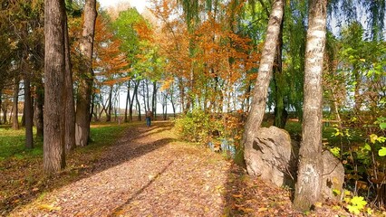 Sticker - Old man with backpack walks among trees in autumn park. Sunny morning scene of walkbridge in Topilche Park in Ternopil city, Ukraine. 4K video (Ultra High Definition).