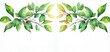 Banner mit grünen Blättern im Sonnenlicht auf weißem Hintergrund in Wasserfarben Effekt, copy space