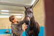 © unai - Veterinary caressing a horse after hydrotherapy on a center