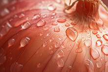 Water droplets on onion skin texture