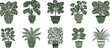 Collection of indoor plants. Lino cut artwork style vector. Minimalistic isolated illustration