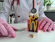 © Nadzeya - Close-up of a dentist holding a tooth model and showing it to the patient.