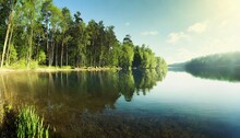 Calm Placid Freshwater Lake With Dense Trees Forest On The Shore