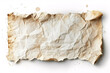 Crumpled old paper with torn edges on white background