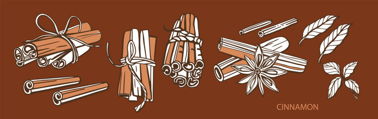 Wall Mural - Isolated hand drawn vector set of cinnamon in engraving style. Braun and chocolate colors. Cinnamon sticks and star anise. Style spice and flavor object. Cooking and aromaterapy ingredient.