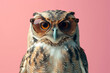 Owl with sunglasses posing against pink background