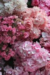 Poster - a close up of a bunch of pink and white flowers, website banner, deep colors