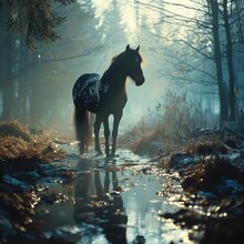 Ethereal Horse In Misty Forest Dreamscape