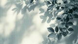 Fototapeta Konie - Blurred shadow from leaves plants on the white wall. Minimal abstract background