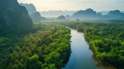 Sticker - Beautiful natural scenery of river in southeast Asia tropical green forest with mountains in background, aerial view drone shot