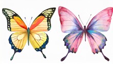 Watercolor Colorful Butterflies Isolated Butterfly On White Background Blue Yellow Pink And Red Butterfly Spring Illustration