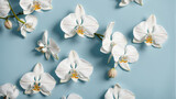 Fototapeta Kwiaty - White orchid flowers on blue background with copy space, time for meditation and relaxation. generative AI