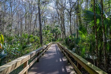 Canvas Print - central florida