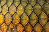 Fototapeta  - Macro photograph of a scaly Crucian carp s skin with a geometric pattern featuring the fish s lateral line with focus selectively applied to create a shallow de