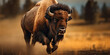 Majestic Bison in Motion: Dynamic Wildlife Photography of American Buffalo in Natural Habitat