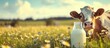 © is - Dairy cow Farming with Milk and Cattle on green meadow springtime landscape. Generated AI image