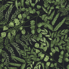 Poster - Natural seamless pattern with ferns and green herbaceous plants on black background. Gorgeous backdrop with wild forest herbs. Elegant botanical vector illustration for wrapping paper, textile print