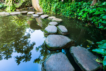 Stepping stones path over a pond