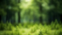 Abstract Unfocused Fuzzy Green Forest Foliage Background