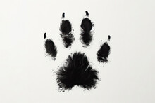 Black Cat Handprint Isolated On Solid White Background. Ai Generative