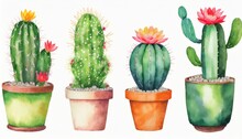 Watercolor Funny Cute Cactus In Pot Set On White Background Watercolor Cactus Pots For Decoration Cactus And Succulents Set Cute Green Cactus In Flower Pots
