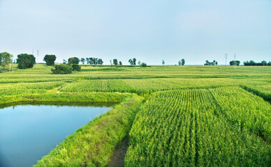 Canvas Print - Landscape with farm and pond