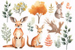 A heartwarming watercolor collection featuring endearing kangaroos surrounded by a variety of Australian botanicals and foliage.