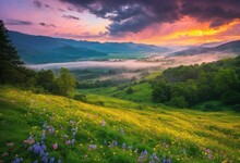 Beautiful Landscape, Green Hills Covered With Yellow Flowers, Green Trees, Dark Storm Clouds, A Ray Of Bright Sunlight, Pink Sky