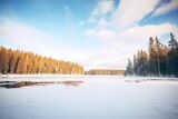 Fototapeta Natura - frozen lake surrounded by a pine forest